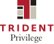 Trident logo